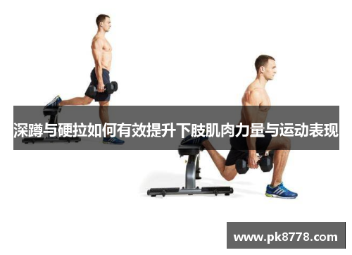 深蹲与硬拉如何有效提升下肢肌肉力量与运动表现