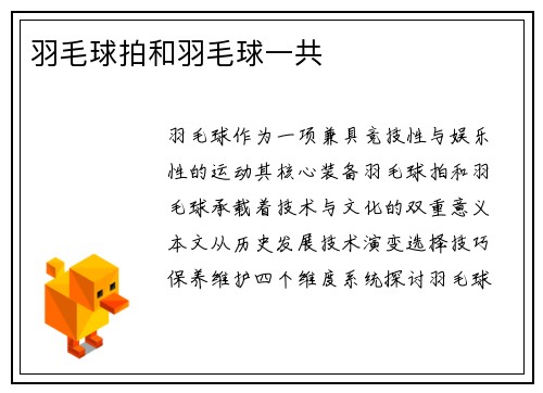 羽毛球拍和羽毛球一共
